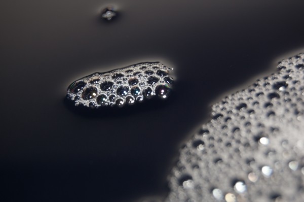 JoshMatz-20110425-_DSC2295